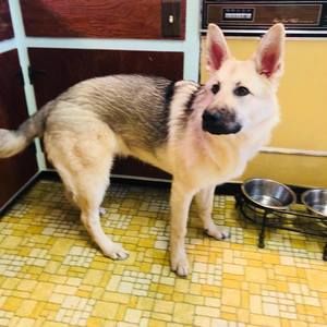 Meet your Posher, Barbara